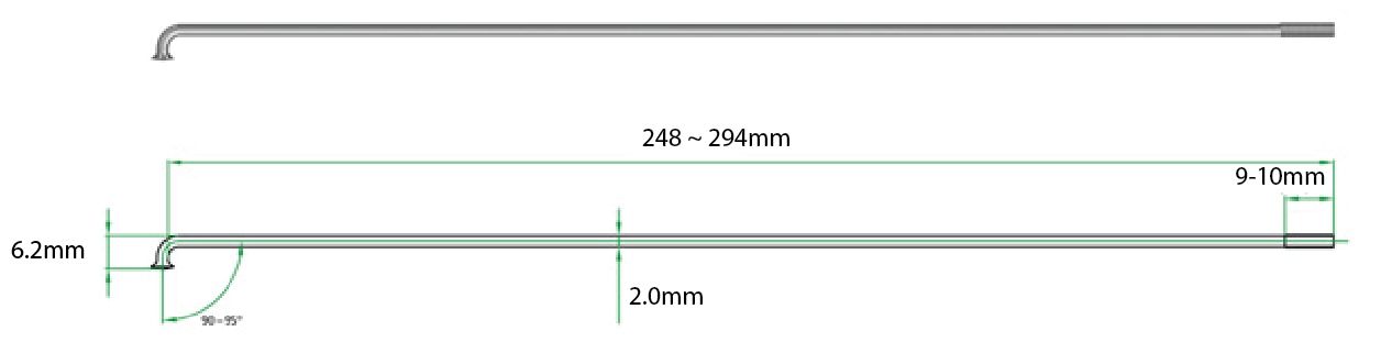 DT Swiss Champion Silver Spoke (10)